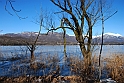 Lago Piccolo di Avigliana ghiacciato_080